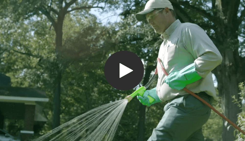 TruGreen’s new take on technology—a catalyst for greener lawns and happier customers